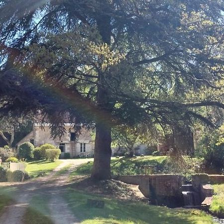 Bed and Breakfast Le Moulin Du Mesnil Saint-Georges-sur-Cher Esterno foto
