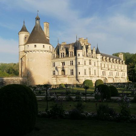 Bed and Breakfast Le Moulin Du Mesnil Saint-Georges-sur-Cher Esterno foto