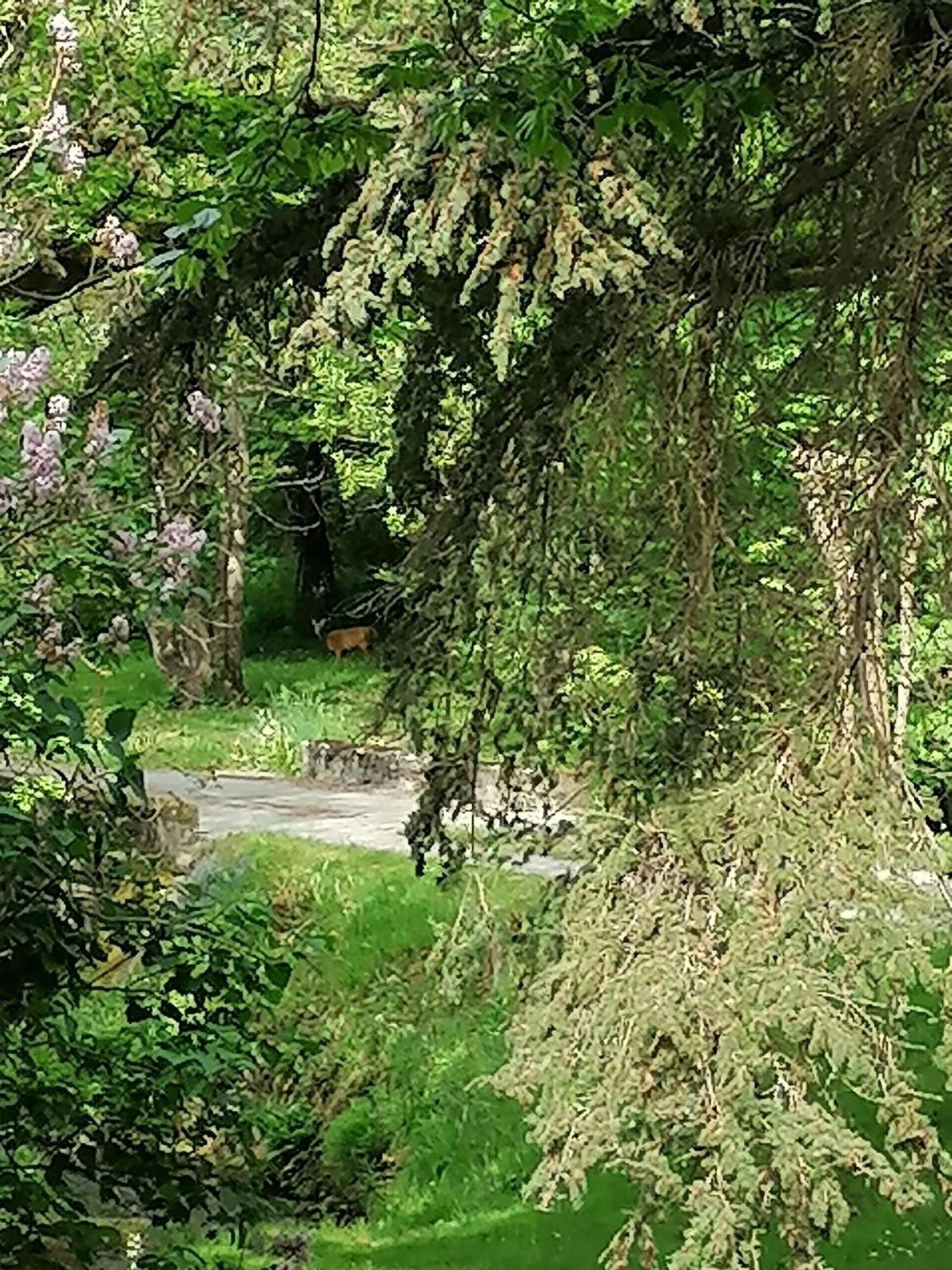 Bed and Breakfast Le Moulin Du Mesnil Saint-Georges-sur-Cher Esterno foto