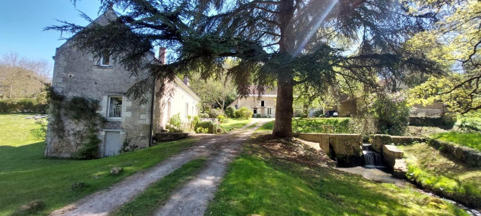 Bed and Breakfast Le Moulin Du Mesnil Saint-Georges-sur-Cher Esterno foto